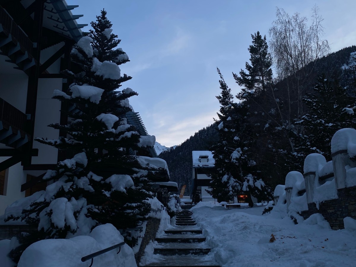 “Di alberi spogli…”